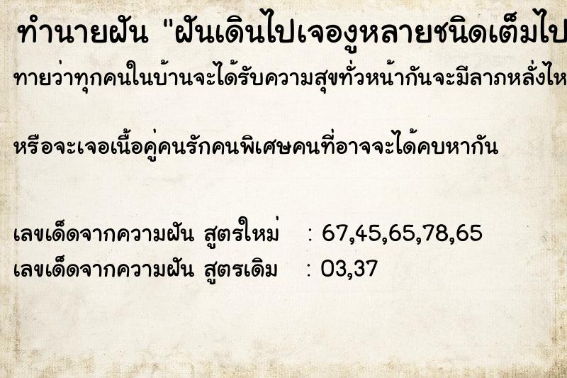 ทำนายฝันฝันเดินไปเจองูหลายชนิดเต็มไปหมด ทำนายฝันทำนายฝันฝันเดินไปเจองูหลายชนิดเต็มไปหมด