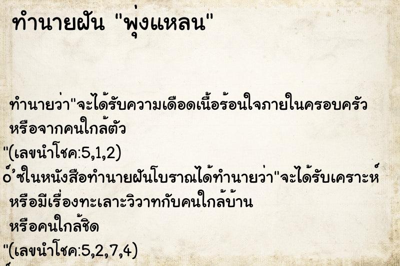ทำนายฝัน พุ่งแหลน