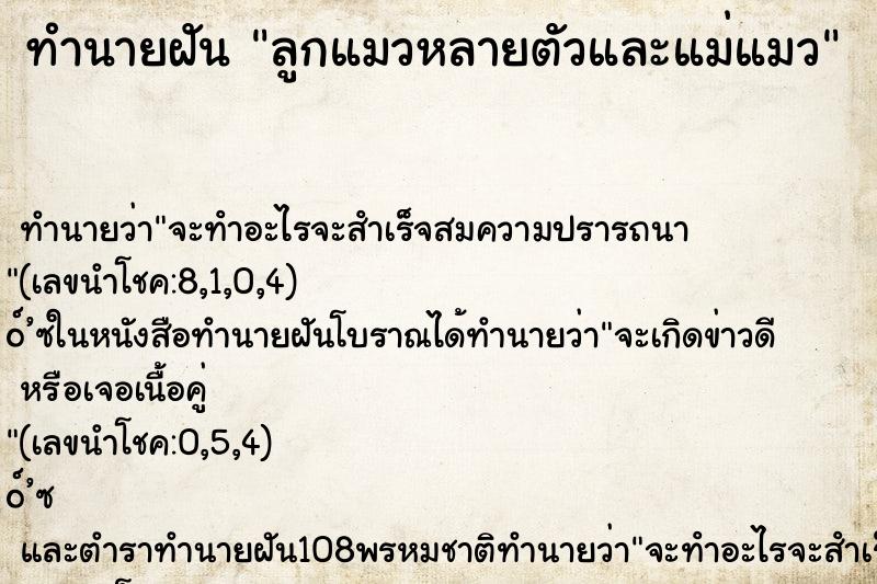 ทำนายฝันลูกแมวหลายตัวและแม่แมว ทำนายฝันทำนายฝันลูกแมวหลายตัวและแม่แมว