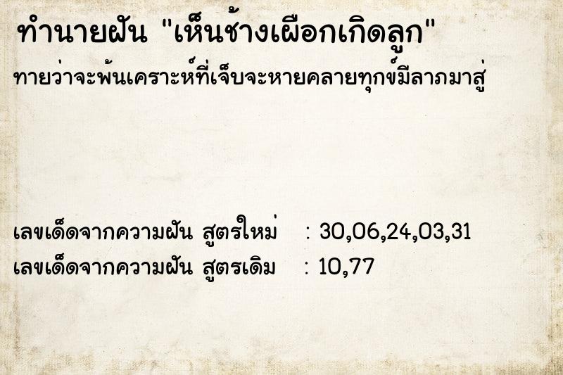 ทำนายฝันทำนายฝันเห็นช้างเผือกเกิดลูก