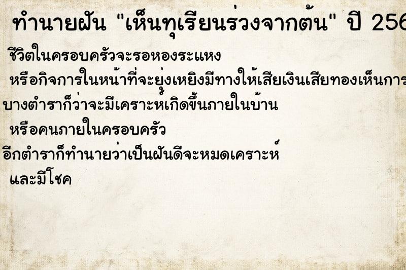 ทำนายฝันทำนายฝันเห็นทุเรียนร่วงจากต้น