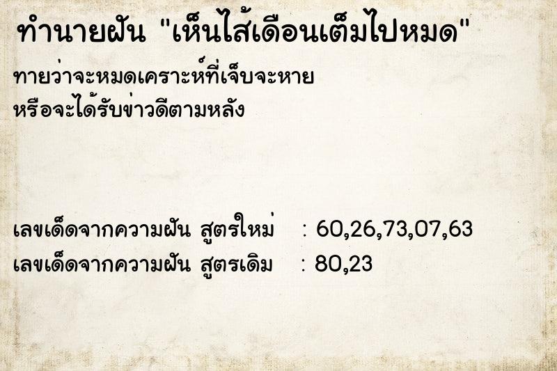 ทำนายฝันเห็นไส้เดือนเต็มไปหมด ทำนายฝันทำนายฝันเห็นไส้เดือนเต็มไปหมด