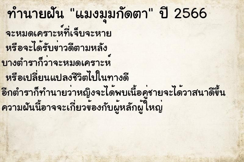 ทำนายฝันแมงมุมกัดตา ทำนายฝันทำนายฝันแมงมุมกัดตา