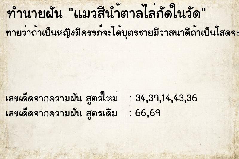 ทำนายฝันแมวสีนำ้ตาลไล่กัดในวัด ทำนายฝันทำนายฝันแมวสีนำ้ตาลไล่กัดในวัด