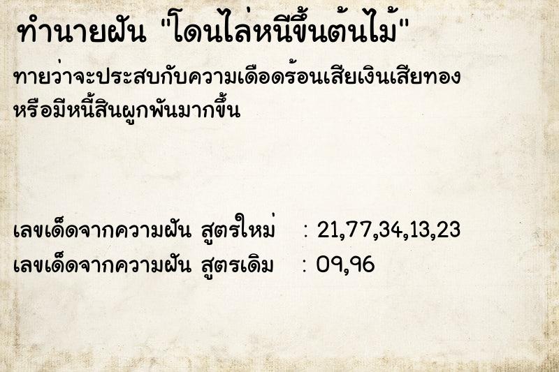ทำนายฝันโดนไล่หนีขึ้นต้นไม้ ทำนายฝันทำนายฝันโดนไล่หนีขึ้นต้นไม้