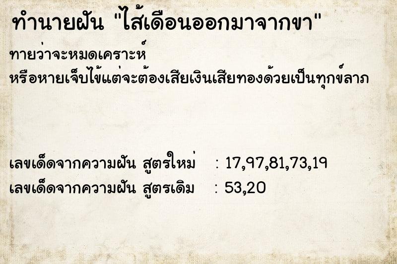 ทำนายฝันไส้เดือนออกมาจากขา ทำนายฝันทำนายฝันไส้เดือนออกมาจากขา