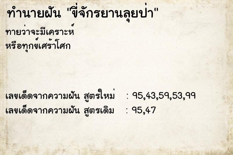 ทำนายฝันขี่จักรยานลุยป่า ทำนายฝันทำนายฝันขี่จักรยานลุยป่า
