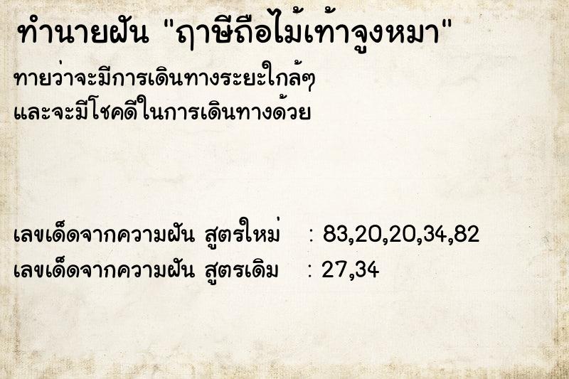 ทำนายฝันฤาษีถือไม้เท้าจูงหมา ทำนายฝันทำนายฝันฤาษีถือไม้เท้าจูงหมา