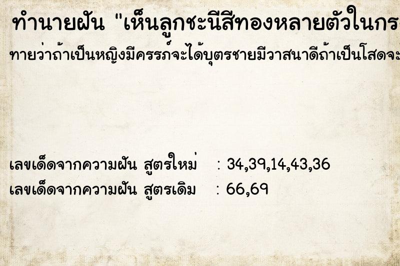 ทำนายฝันทำนายฝันเห็นลูกชะนีสีทองหลายตัวในกรง