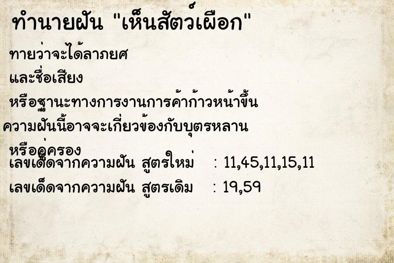 ทำนายฝันเห็นสัตว์เผือก ทำนายฝันทำนายฝันเห็นสัตว์เผือก