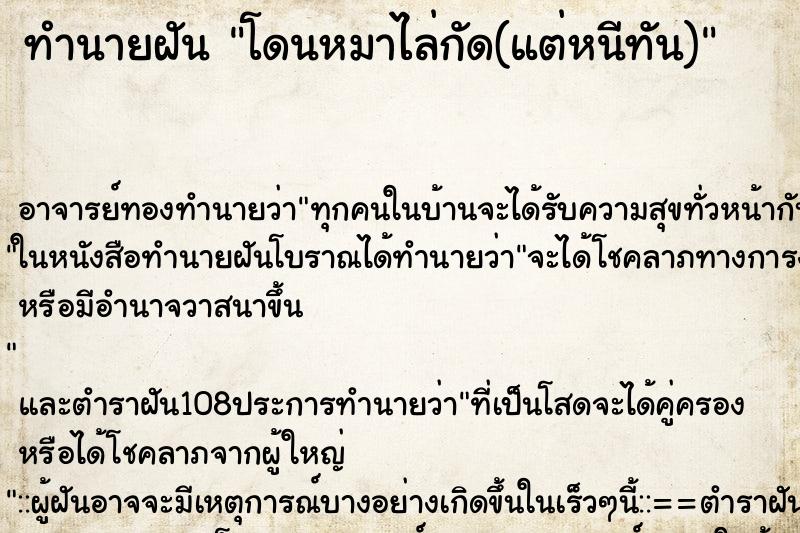 ทำนายฝันทำนายฝันโดนหมาไล่กัด(แต่หนีทัน)