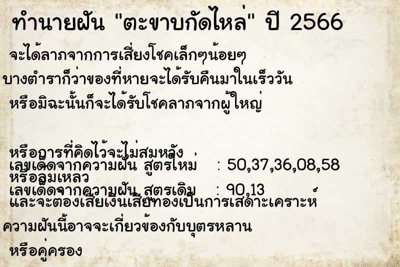 ทำนายฝัน ตะขาบกัดไหล่ ทำนายฝัน ตะขาบกัดไหล่