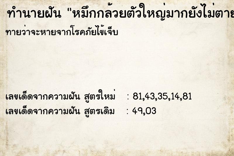 ทำนายฝันทำนายฝันหมึกกล้วยตัวใหญ่มากยังไม่ตายที่บ้าน