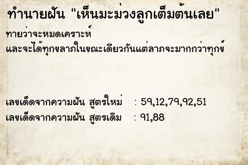 ทำนายฝันทำนายฝันเห็นมะม่วงลูกเต็มต้นเลย