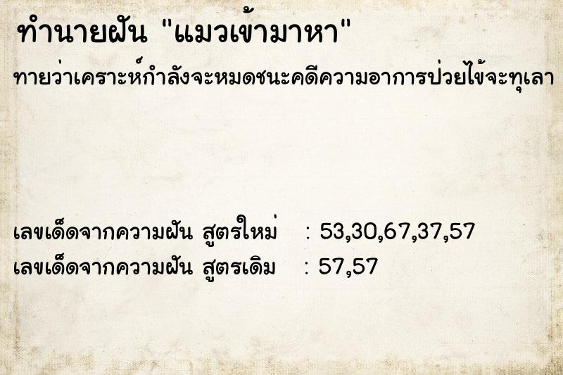 ทำนายฝันทำนายฝันแมวเข้ามาหา