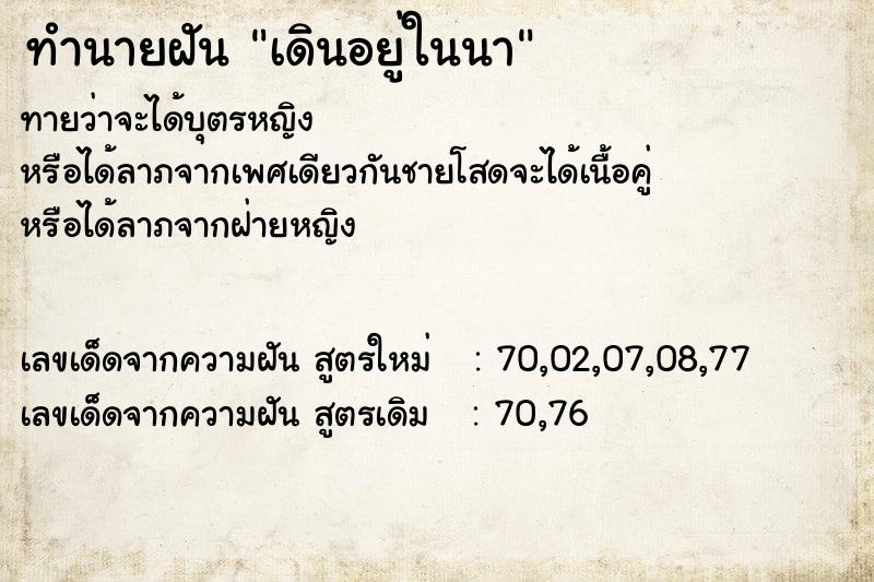 ทำนายฝัน เดินอยู่ในนา ทำนายฝัน เดินอยู่ในนา