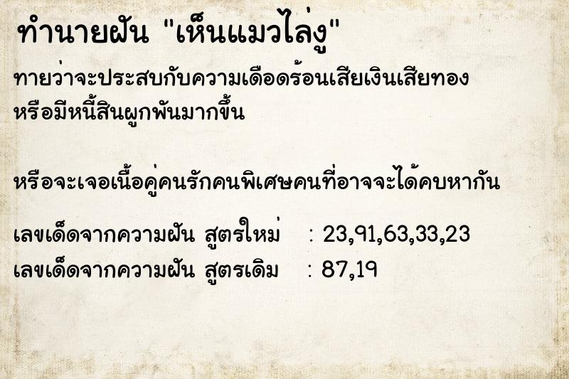 ทำนายฝัน เห็นแมวไล่งู