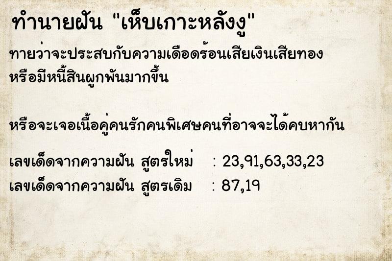 ทำนายฝันทำนายฝันเห็บเกาะหลังงู