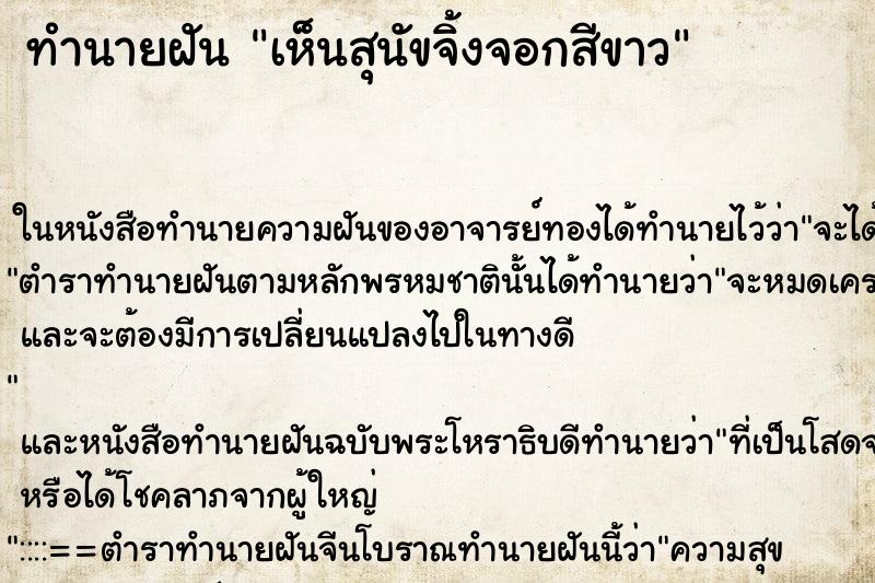 ทำนายฝันทำนายฝันเห็นสุนัขจิ้งจอกสีขาว