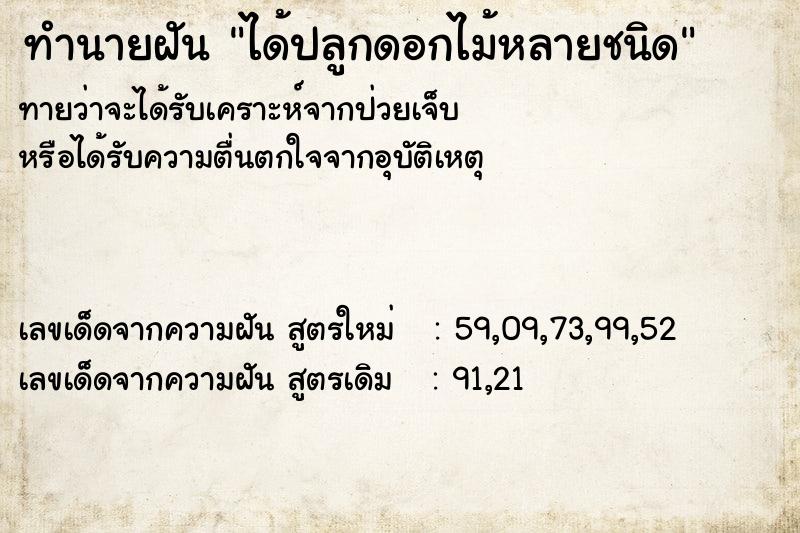 ทำนายฝันได้ปลูกดอกไม้หลายชนิด ทำนายฝันทำนายฝันได้ปลูกดอกไม้หลายชนิด