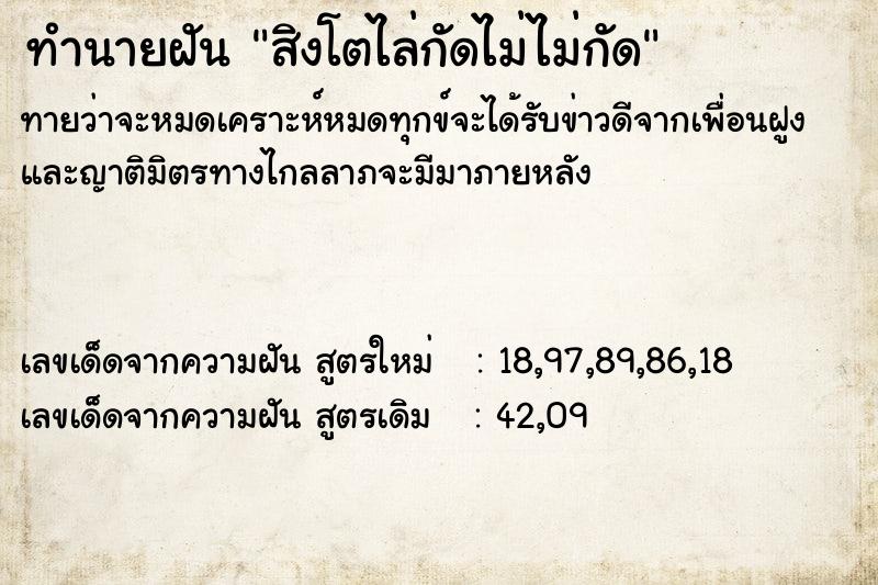 ทำนายฝันสิงโตไล่กัดไม่ไม่กัด ทำนายฝันทำนายฝันสิงโตไล่กัดไม่ไม่กัด