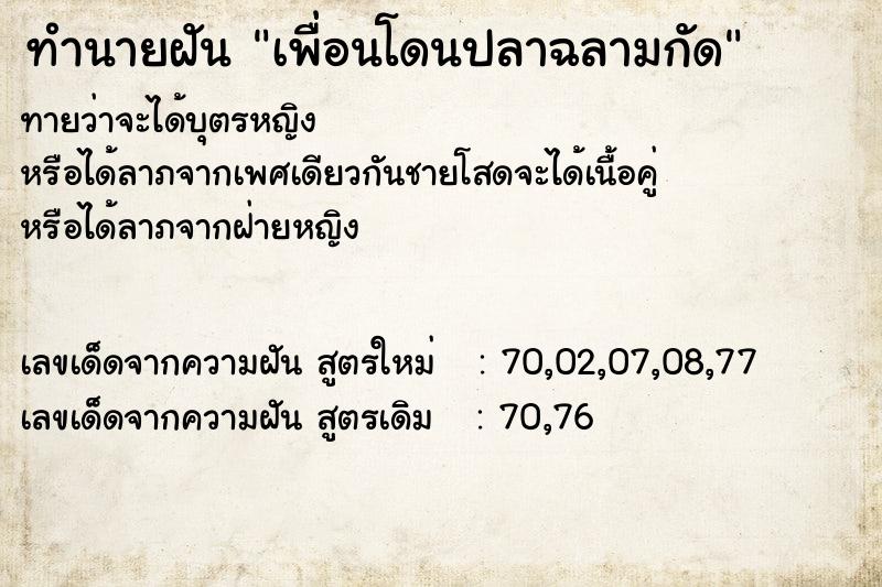 ทำนายฝันเพื่อนโดนปลาฉลามกัด ทำนายฝันทำนายฝันเพื่อนโดนปลาฉลามกัด