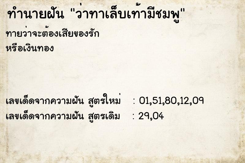 ทำนายฝันทำนายฝันว่าทาเล็บเท้ามีชมพู