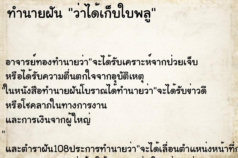 ทำนายฝัน ว่าได้เก็บใบพลู ทำนายฝัน ว่าได้เก็บใบพลู