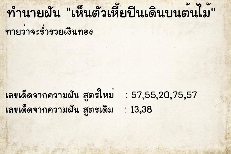 ทำนายฝันเห็นตัวเหี้ยปีนเดินบนต้นไม้ ทำนายฝันทำนายฝันเห็นตัวเหี้ยปีนเดินบนต้นไม้