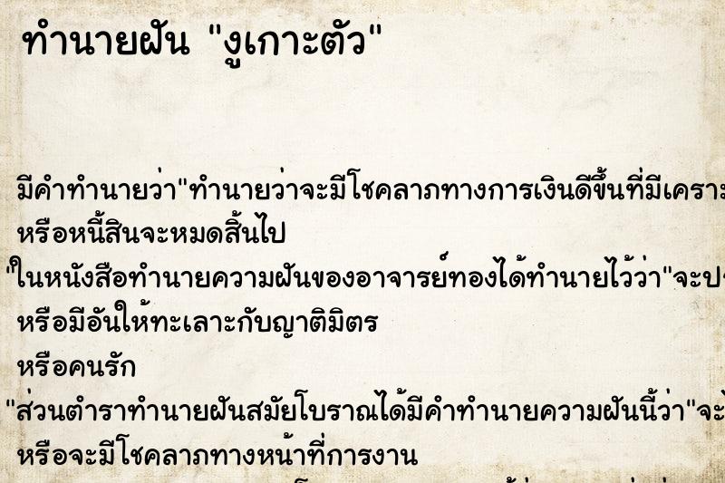 ทำนายฝันงูเกาะตัว ทำนายฝันทำนายฝันงูเกาะตัว