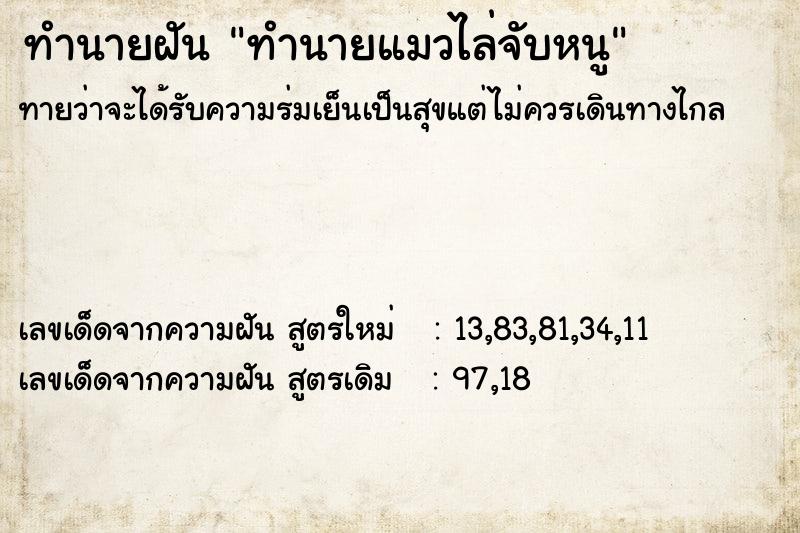 ทำนายฝันทำนายฝันทำนายแมวไล่จับหนู