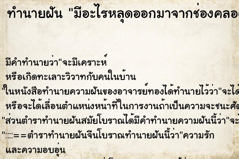 ทำนายฝัน มีอะไรหลุดออกมาจากช่องคลอด ทำนายฝัน มีอะไรหลุดออกมาจากช่องคลอด