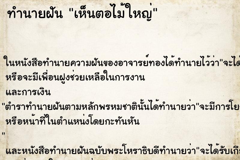 ทำนายฝันทำนายฝันเห็นตอไม้ใหญ่