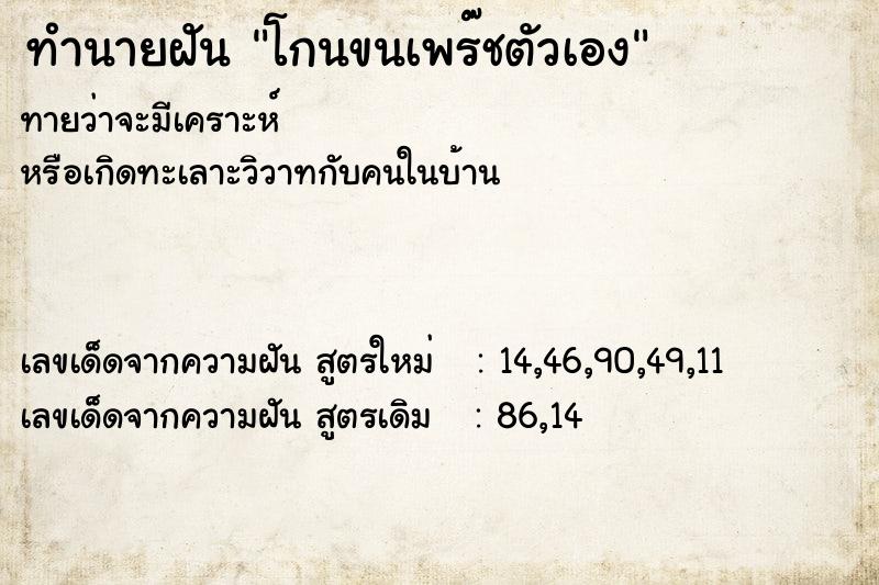 ทำนายฝันทำนายฝันโกนขนเพร๊ชตัวเอง
