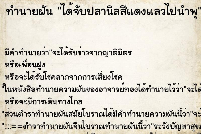 ทำนายฝันทำนายฝันได้จับปลานิลสีแดงแลวไปนำพุ