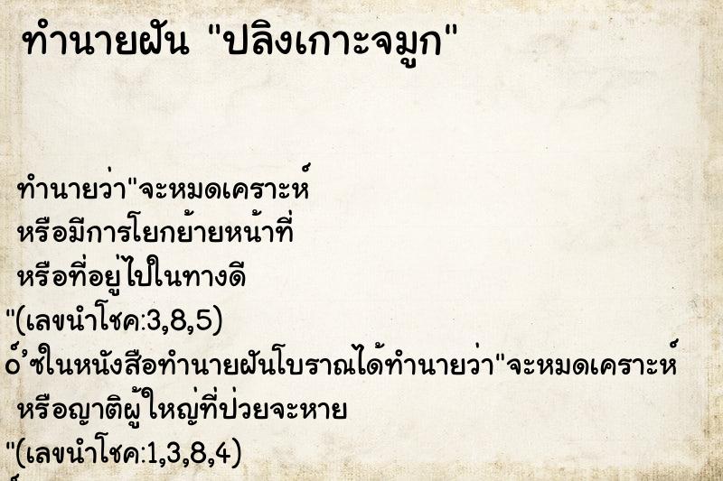 ทำนายฝันทำนายฝันปลิงเกาะจมูก