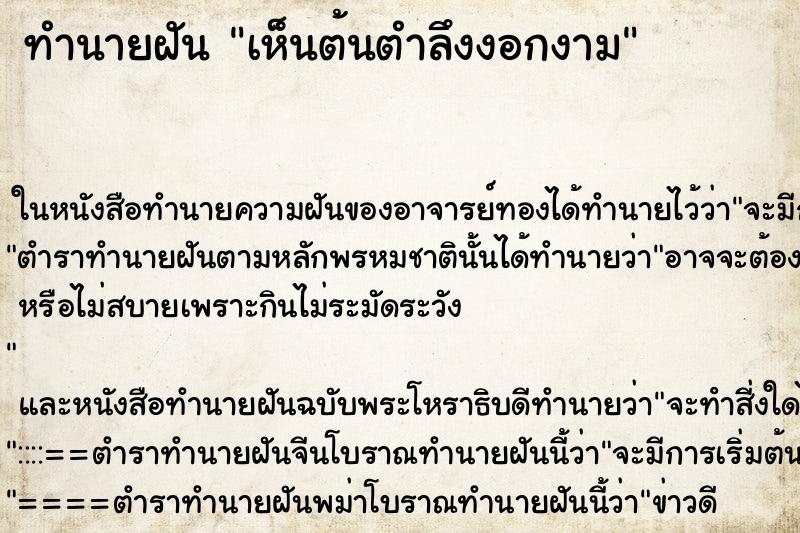 ทำนายฝันเห็นต้นตำลึงงอกงาม ทำนายฝันทำนายฝันเห็นต้นตำลึงงอกงาม