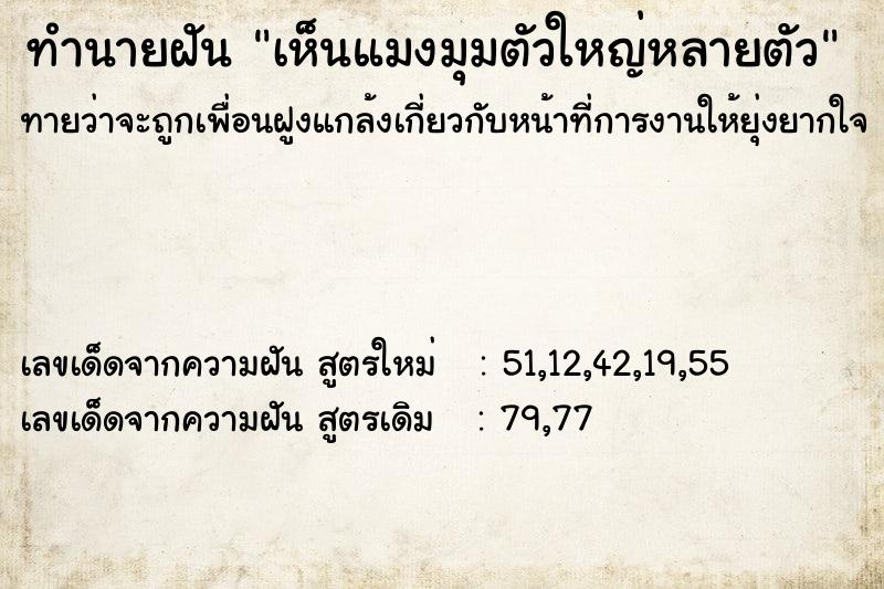 ทำนายฝันเห็นแมงมุมตัวใหญ่หลายตัว ทำนายฝันทำนายฝันเห็นแมงมุมตัวใหญ่หลายตัว
