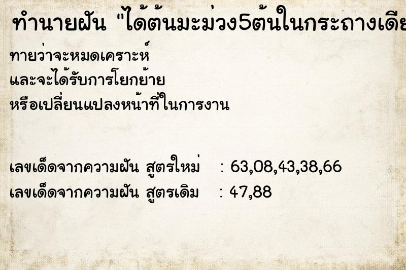 ทำนายฝันทำนายฝันได้ต้นมะม่วง5ต้นในกระถางเดียวกัน