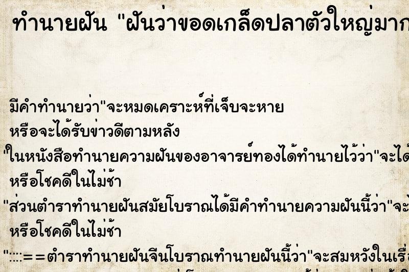 ทำนายฝันฝันว่าขอดเกล็ดปลาตัวใหญ่มาก ทำนายฝันทำนายฝันฝันว่าขอดเกล็ดปลาตัวใหญ่มาก