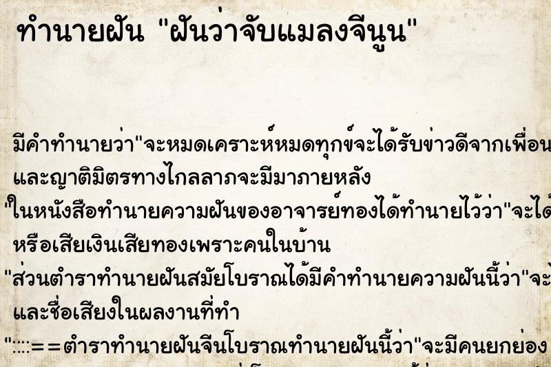 ทำนายฝันฝันว่าจับแมลงจีนูน ทำนายฝันทำนายฝันฝันว่าจับแมลงจีนูน