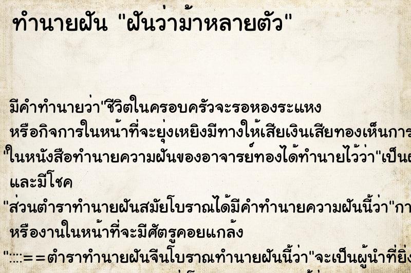ทำนายฝัน ฝันว่าม้าหลายตัว ทำนายฝัน ฝันว่าม้าหลายตัว