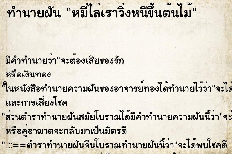 ทำนายฝัน หมีไล่เราวิ่งหนีขึ้นต้นไม้ ทำนายฝัน หมีไล่เราวิ่งหนีขึ้นต้นไม้
