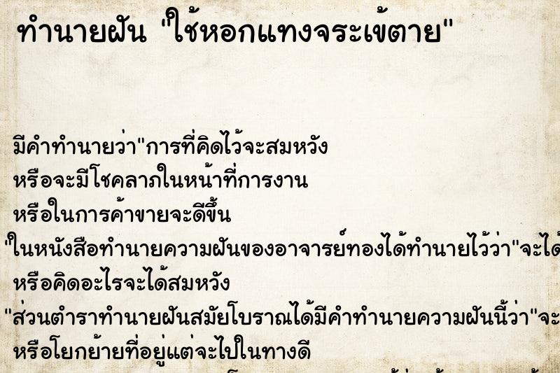 ทำนายฝัน ใช้หอกแทงจระเข้ตาย ทำนายฝัน ใช้หอกแทงจระเข้ตาย