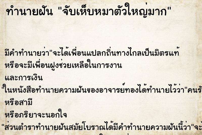 ทำนายฝัน จับเห็บหมาตัวใหญ่มาก ตำราโบราณ แม่นที่สุดในโลก