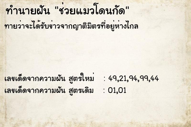 ทำนายฝันทำนายฝันช่วยแมวโดนกัด