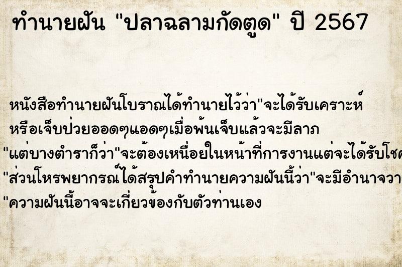 ทำนายฝันปลาฉลามกัดตูด ทำนายฝันทำนายฝันปลาฉลามกัดตูด