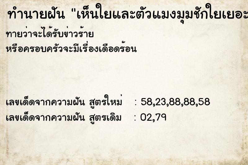 ทำนายฝันเห็นใยและตัวแมงมุมชักใยเยอะ ทำนายฝันทำนายฝันเห็นใยและตัวแมงมุมชักใยเยอะ