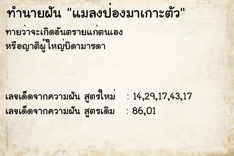 ทำนายฝันทำนายฝันแมลงป่องมาเกาะตัว