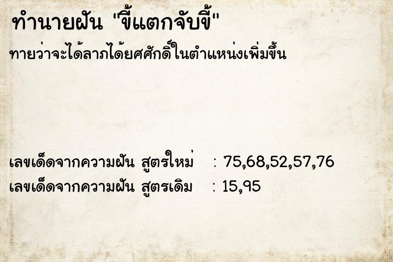 ทำนายฝันขี้แตกจับขี้ ทำนายฝันทำนายฝันขี้แตกจับขี้